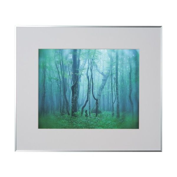 ケンコー・トキナー ケンコー 1250144 アルミ額縁 ギャラリー 半切 シルバー AGYーHーSV 1枚 414-2687（直送品）