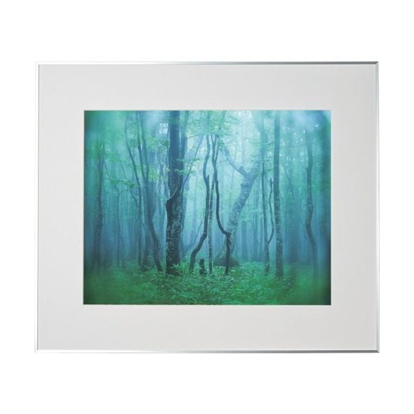 ケンコー・トキナー ケンコー 1250145 アルミ額縁 ギャラリー 全紙 シルバー AGYーZーSV 1枚 414-1084（直送品）