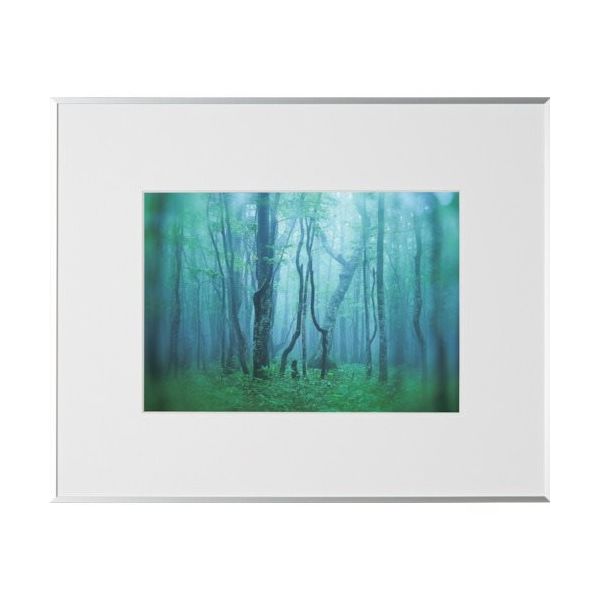 ケンコー・トキナー ケンコー 1250146 アルミ額縁 ギャラリー A4 シルバー AGYーA4ーSV 1枚 414-1093（直送品）