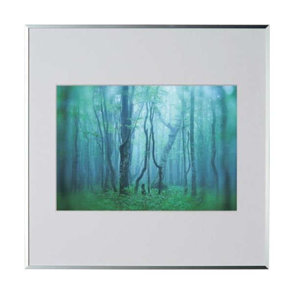 ケンコー・トキナー ケンコー 1250147 アルミ額縁 ギャラリー A4スクエア シルバー AGYーA4SQーSV 1枚 414-2599（直送品）