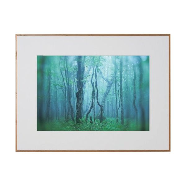 ケンコー・トキナー ケンコー 1250161 アルミ額縁 ギャラリー A3ノビ ナチュラル AGYーA3NーNA 1枚 414-2654（直送品）