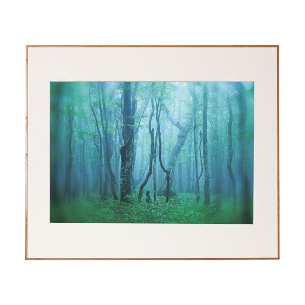 ケンコー・トキナー ケンコー 1250162 アルミ額縁 ギャラリー A2 ナチュラル AGYーA2ーNA 1枚 414-2580（直送品）