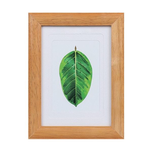 ケンコー・トキナー ケンコー 1250174 写真立て ゴムの木 チーク PSーGMーTI 1枚 414-4167（直送品）