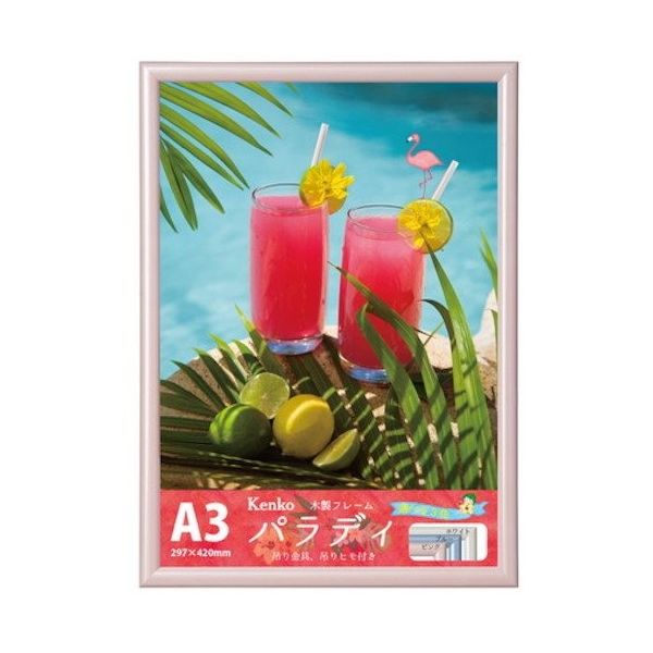 ケンコー・トキナー ケンコー 1250263 ダイレクトフレーム パラディ A3 ピンク EPRーA3 PK EPR-A3-PK 1枚（直送品）