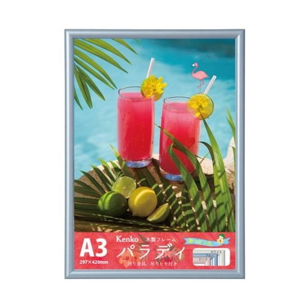 ケンコー・トキナー ケンコー 1250264 ダイレクトフレーム パラディ A3 ブルー EPRーA3 BU EPR-A3-BU 1枚（直送品）