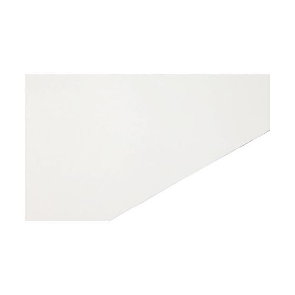 ハバジット 食品用ベルト TPU食品搬送用ベルト FNB-5E 300 X 5000 EF 1本 377-8136（直送品）