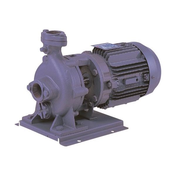 荏原製作所 エバラ FVD型ブルテックスポンプ 60Hz 口径40mm 出力