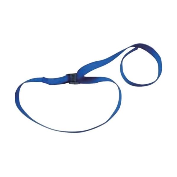 テザック TESAC ラッシングベルト(ベルト荷締機)カムバックル式エンドレスタイプ C01N045000A 1台 226-1686（直送品）