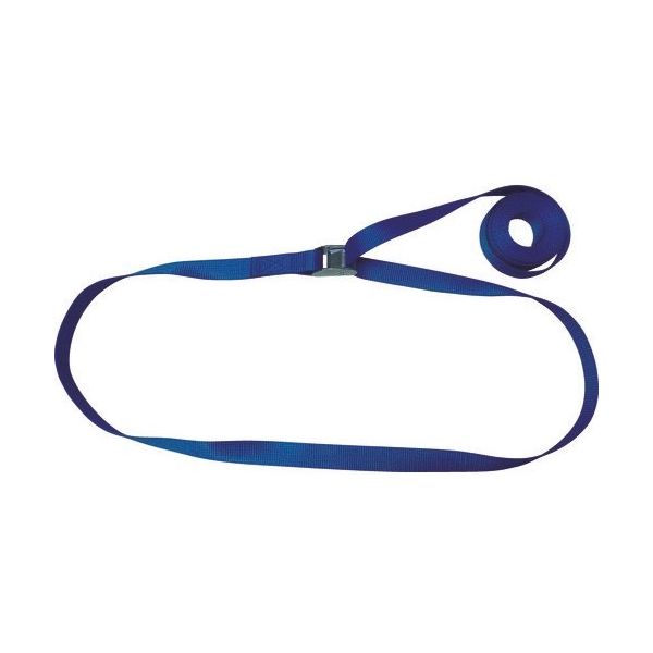 テザック TESAC ラッシングベルト(ベルト荷締機)カムバックル式エンドレスタイプ C03N010000A 1本 226-1659（直送品）