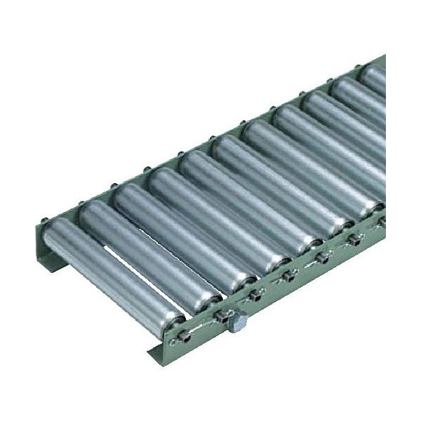 タイヨー TRーB3812L型 ローラー幅100W×P100×機長2000L(Lフレーム) B3812L-100-100-2000 1台（直送品）