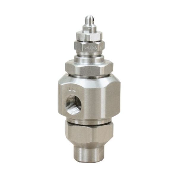 いけうち 微霧発生2流体ノズル 小噴量扇形 BIMVシリーズ(液加圧タイプ) BIMV11002S303.SPBS303 1個（直送品）