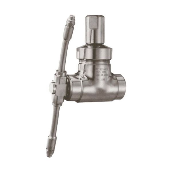 1/2FJA3-2L(5.4)S304（直送品）