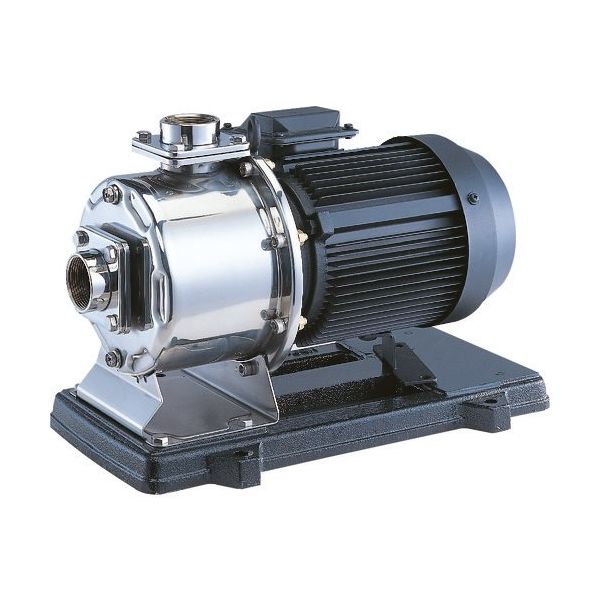 荏原製作所 エバラ MDPE型ステンレス製多段渦巻ポンプ 60Hz 口径40mm 出力1.1kW 40MDPE261.1 1台（直送品）