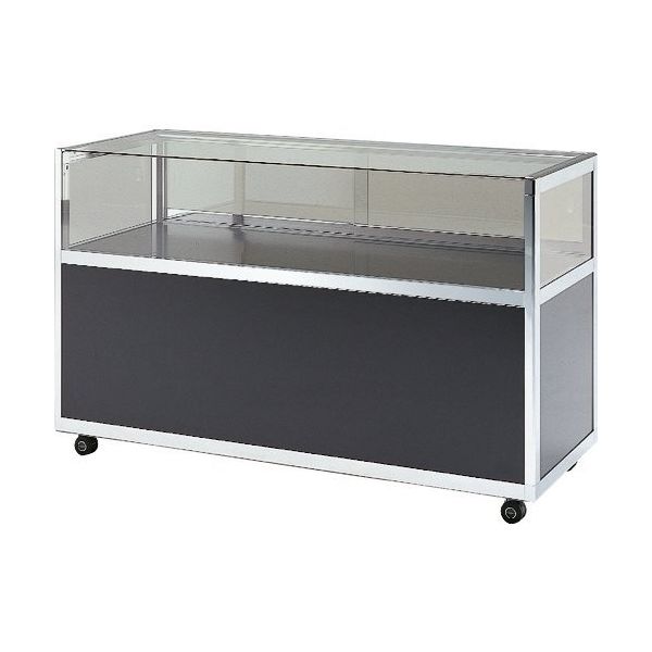 ハヤノ産業 ハヤノ エクシード 平ケースC2 ブラック プッシュ錠付 C2-9-60-B-P 1台 168-0592（直送品）