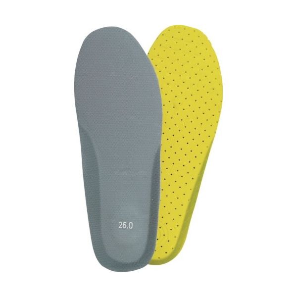 阪神素地 ハンシン Fー10 踏み抜き防止板 28.0cm F-10-28.0 1組 132-6234（直送品）