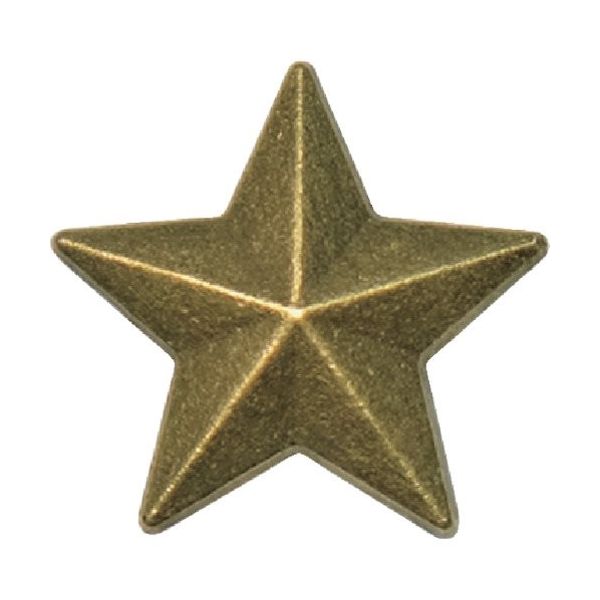 ダンドリビス アートキャップ アンティーク 星(12個入)ブリスター C-ARASTX-12 1パック(12個) 424-0297（直送品）