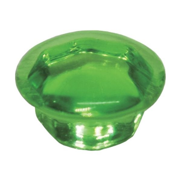 ダンドリビス クリスタルキャップ グリーン (8入)ブリスターパック C-CCXGRX-BP 1パック(8個) 423-3970（直送品）