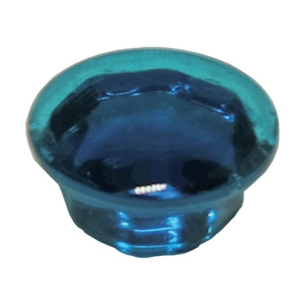 ダンドリビス クリスタルキャップ エメラルドグリーン (8入)ブリスターパック C-CCXEGX-BP 1パック(8個) 424-0309（直送品）