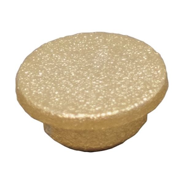 ダンドリビス メタルキャップ ゴールド (8入)ブリスターパック C-MCXGLX-BP 1パック(8個) 423-7120（直送品）