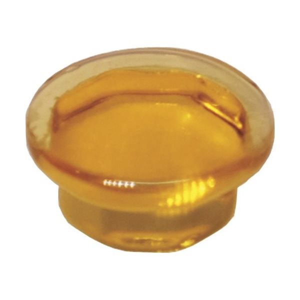 ダンドリビス クリスタルキャップ オレンジ (100入) 10号 C-CCXRGX-QX 1箱(100個) 424-0222（直送品）