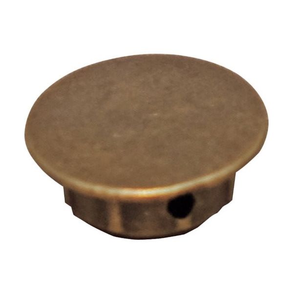 ダンドリビス ビスキャップ アンティークキャップ ゴールド(20入)ブリスターパック C-ACXGLX-20 1パック(20個)（直送品）