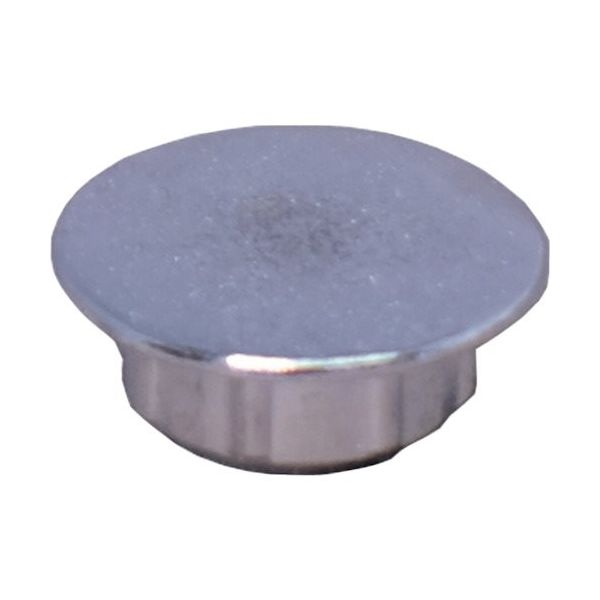 ダンドリビス ビスキャップ アンティークキャップ シルバー(20入)ブリスターパック C-ACXSVX-20 1パック(20個)（直送品）