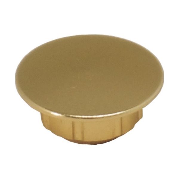 ダンドリビス ハイメタルキャップ ゴールド (20入)ブリスターパック C-HMCGLX-20 1パック(20個) 424-1813（直送品）