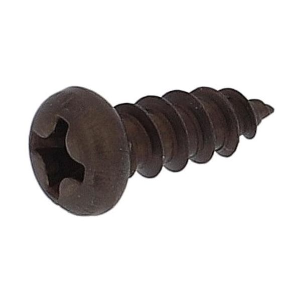 大里 OHSATO ステンレス ブロンズ タッピング ナベ頭 3.5×10 CO-377 1セット(60本:12本×5袋) 431-8767（直送品）