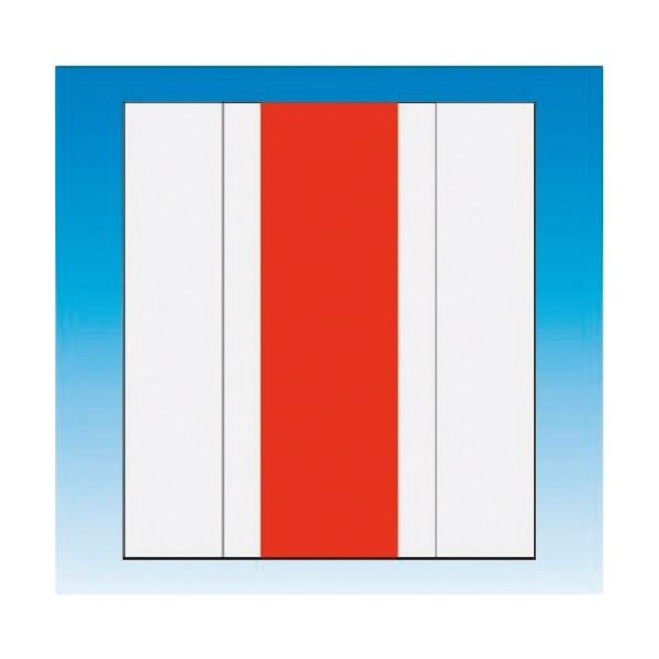 つくし工房 つくし 資格者表示ゼッケン前面用 蛍光レッド無地 TY-201EM 1着 184-6422（直送品）