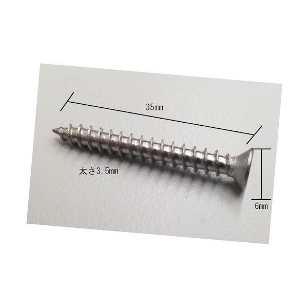 サンセルフ ステンレス木ビス200本セット 27-TS 200 1セット(200本) 455-2677（直送品）