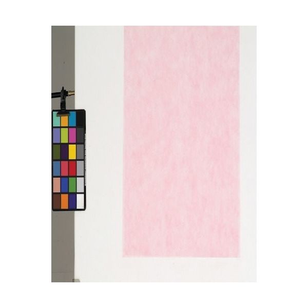 東京メディカル 不織布シート 100枚入 ピンク 66角 FUP-66 1袋(100枚) 816-7789（直送品）