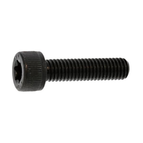 SUNCO ステンTORXーCAP 10×15 (6本入) A0-02-T000-0100-0150-00 