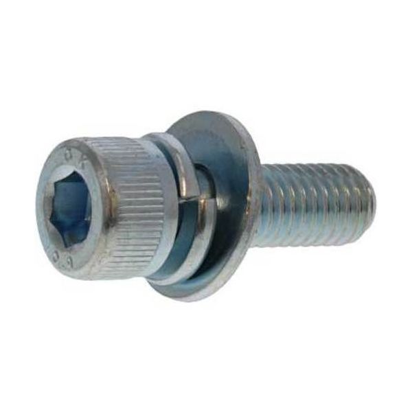 SUNCO BC 10.9CAP P=3 岡井鉄工所製 8 X 30 (9本入) A0-00-903J-0080-0300-10-9（直送品）