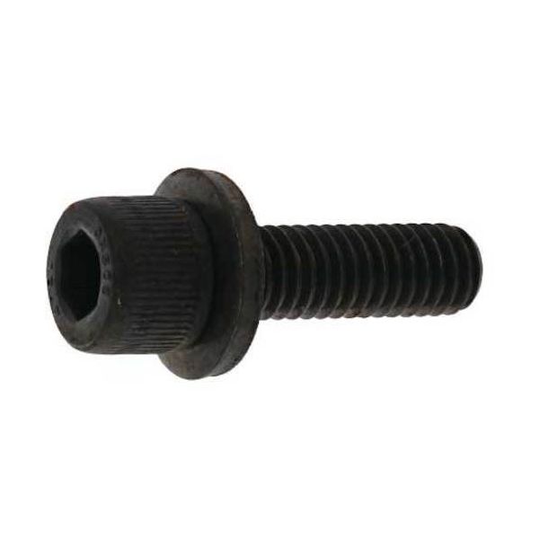 SUNCO 三価ブラック 10.9GTーL CAP 6 X 12 (8本入) A0-00-9L00-0060-0120-04-8（直送品）