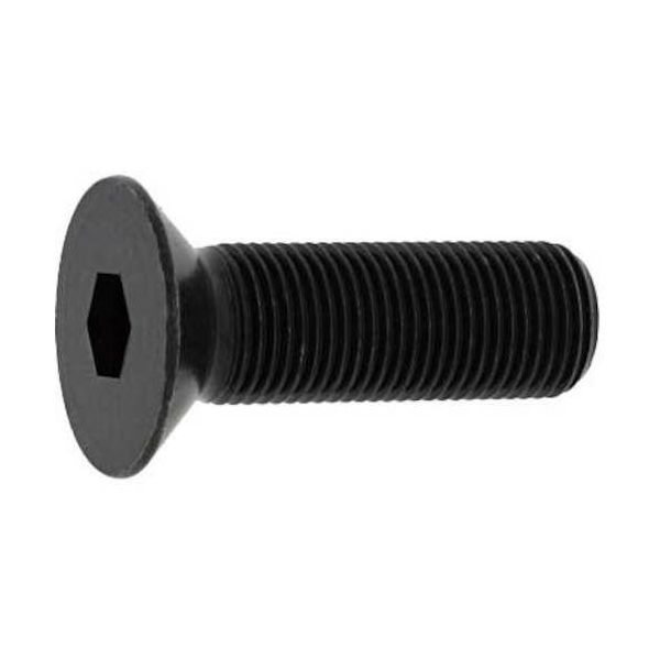 SUNCO SUSサラCAP 細目P=1.25 10×15 (4本入) A0-02-2004-0100-0150-00-4 1パック(4本)（直送品）