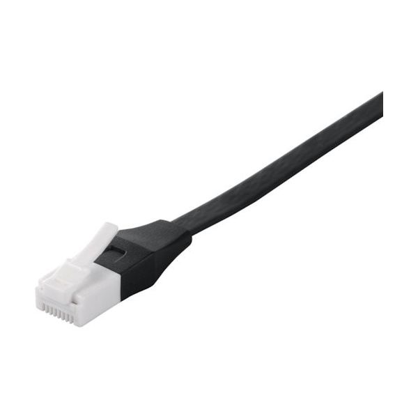 BUFFALO ツメの折れないLANケーブル カテゴリー6 ストレート フラット 20m ブラック BSLS6FU200BK2 1個（直送品）