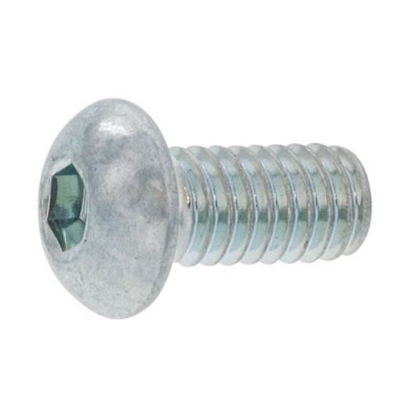 SUNCO チタン ボタンCAP 3×10 (10本入) A0-09-1000-0030-0100-00-10 1パック(10本)（直送品）