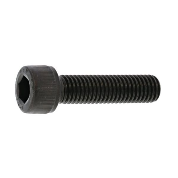 SUNCO CAP(モーションタイト 8×20 (30本入) A0-00-MT0N-0080-0200-00-30 1パック(30本)（直送品）