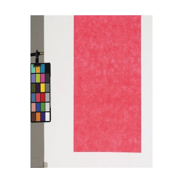 東京メディカル 不織布シート トマト 66角 (100枚入) FUT-66 1袋(100枚) 816-7795（直送品）