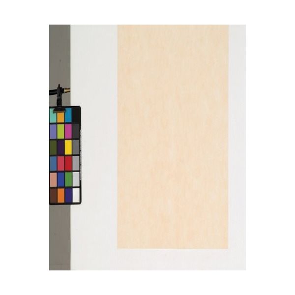 東京メディカル 不織布シート 100枚入り ベージュ 75角 FUBE-75 1袋(100枚) 816-7781（直送品）