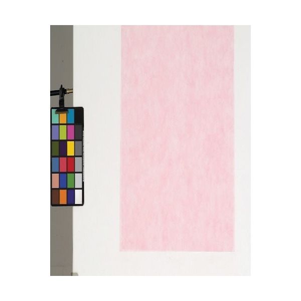 東京メディカル 不織布シート 100枚入り ピンク 75角 FUP-75 1袋(100枚) 816-7790（直送品）