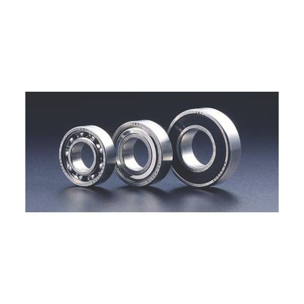 南海精工所 SMT ステンレス(SUS304)ボールベアリング 接触シールタイプ 内輪径20mm 6S6004B2RS 1個（直送品）