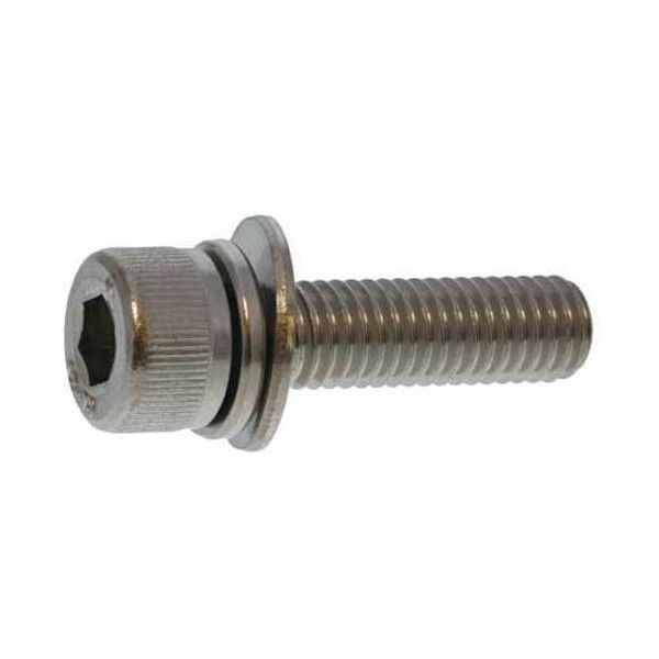 SUNCO 三価ホワイト WAソケットSPタイプ 6 X 25 (20本入) A0-00-9530-0060-0250-03-20（直送品）