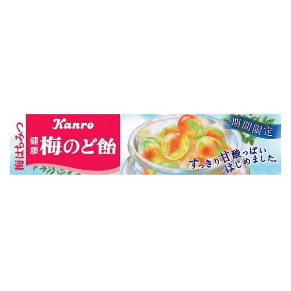 カンロ 100 健康梅のど飴 スティック 11粒 x10 49239423（直送品