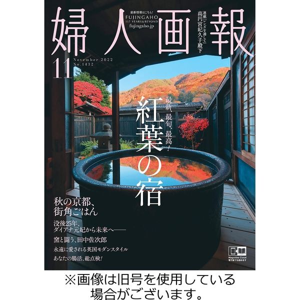 婦人画報 2023/02/01発売号から1年(12冊)（直送品） - アスクル