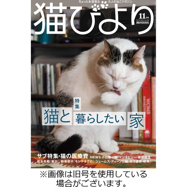 猫びより 2023/02/12発売号から1年(6冊)（直送品）