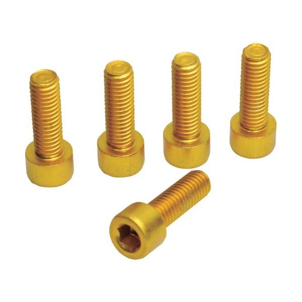 ワールドツール アストロプロダクツ 5PC ボトルケージ用ボルト ゴールド (5個入) 2026000008301 1袋(5袋)（直送品）