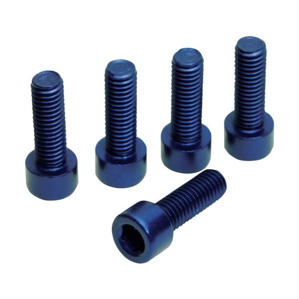 ワールドツール アストロプロダクツ 5PC ボトルケージ用ボルト ブルー (5個入) 2026000008349 1袋(5袋)（直送品）