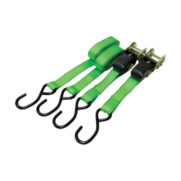 ワールドツール アストロプロダクツ ラチェットタイダウン 2.5M 2本セット 2007000012307 1セット 253-0105（直送品）