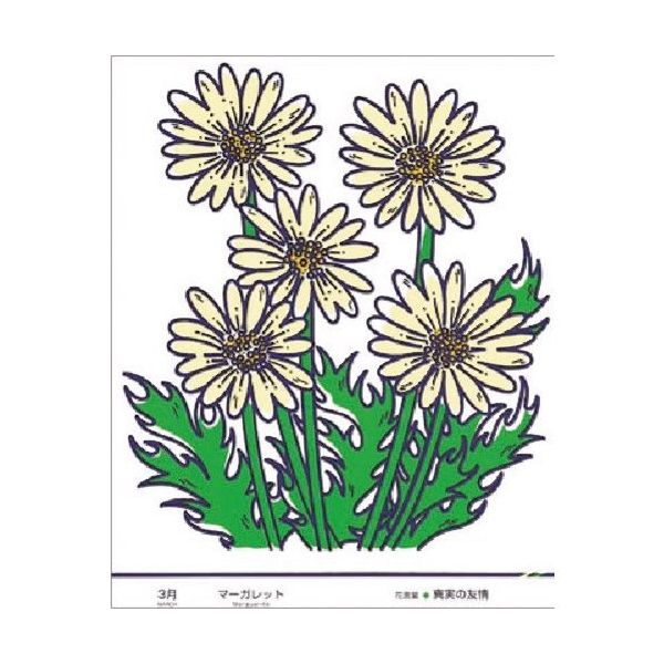 つくし工房 つくし たのし~る[花ことば] マーガレット KS-43 1枚 184-1779（直送品）